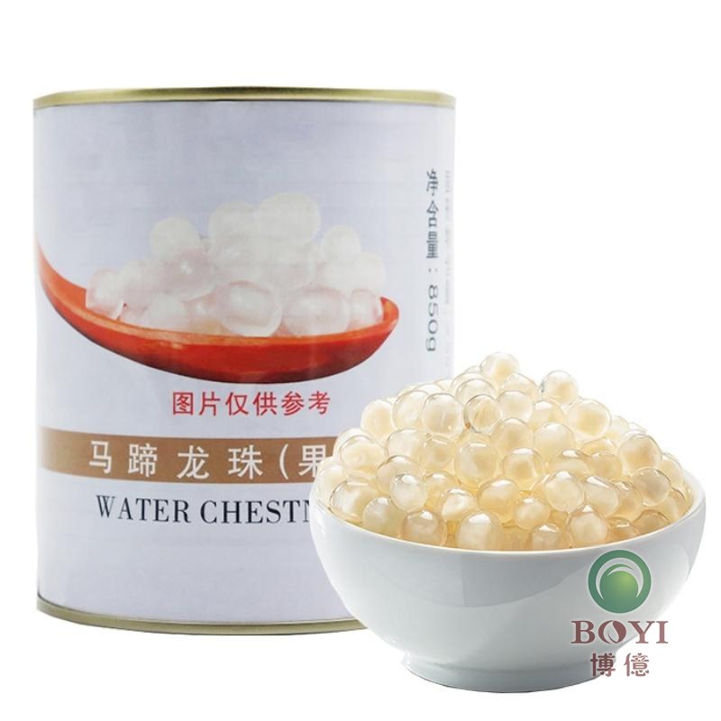 马蹄龙珠